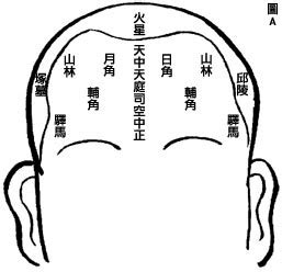 日月角帝王|什么样子的骨相是优越的骨相？